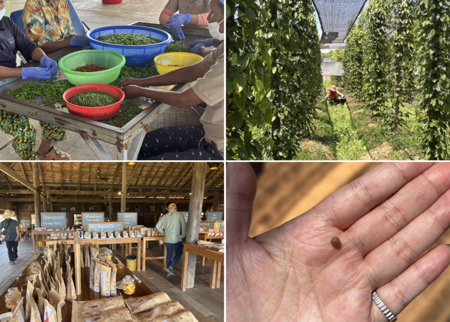 la plantation - things to do kampot kep cambodia