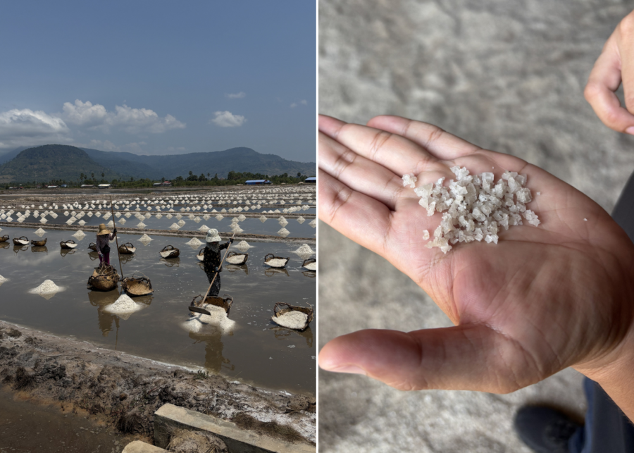 salt fields - things to do kampot kep cambodia