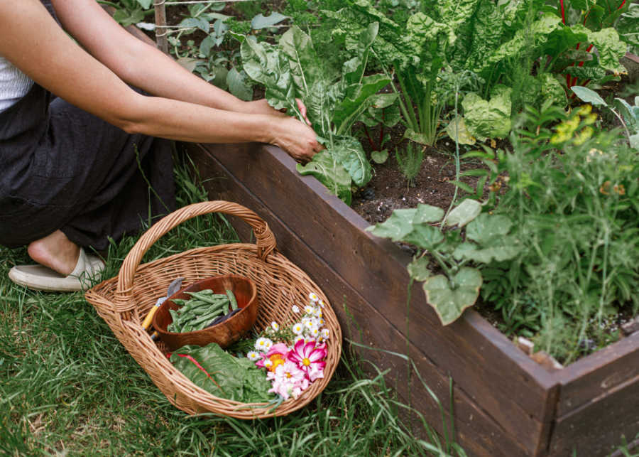 sustainability awards 2026 gardening