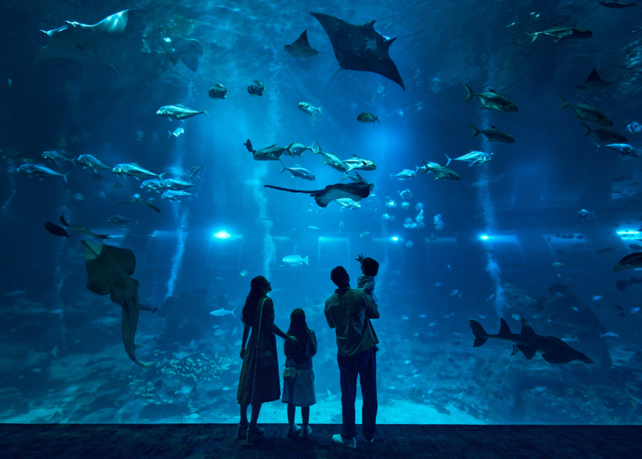 sustainability awards 2026 singapore oceanarium