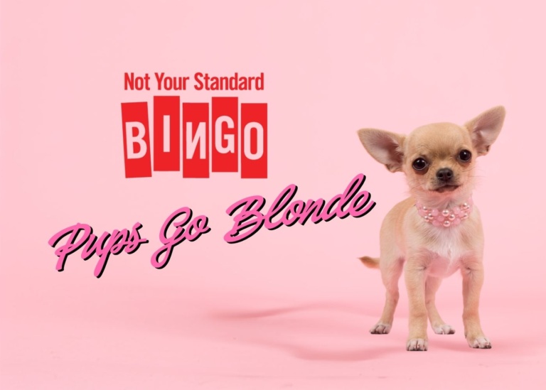 Not Your Standard Bingo: Pups Go Blonde