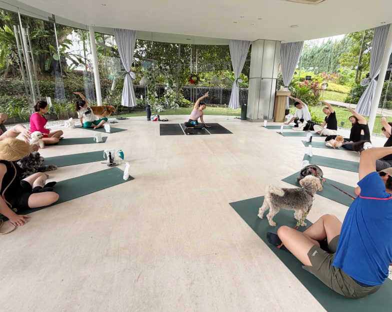 Paws & Play at Amara Sanctuary Sentosa