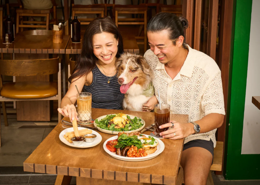 chin swee neighbourhood club furkids brunch - things to do in singapore this weekend