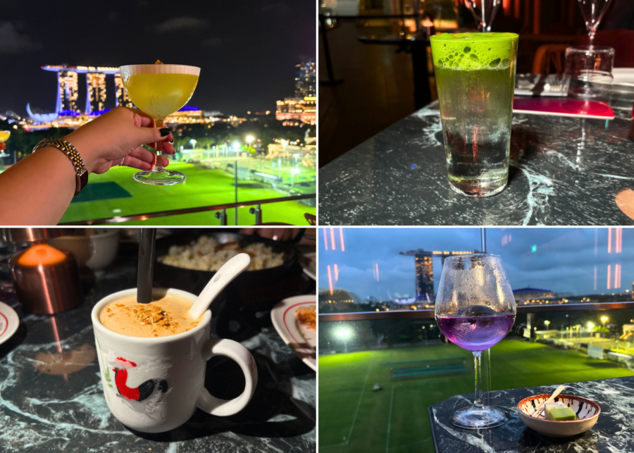milli sky dining lounge national gallery review singapore (2)