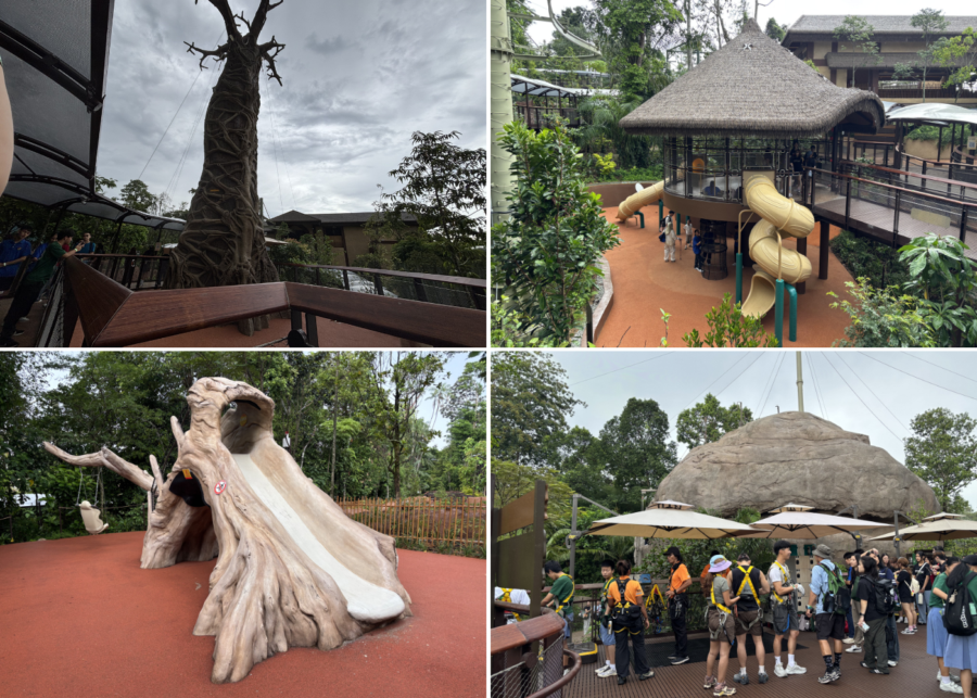 rainforest wild adventure east mandai wildlife reserve singapore