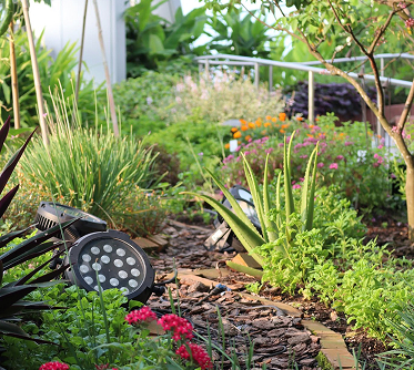 Edible Garden City