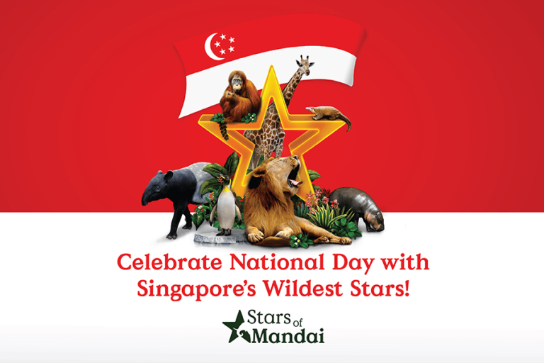 Celebrate Singapore’s Wildest Stars