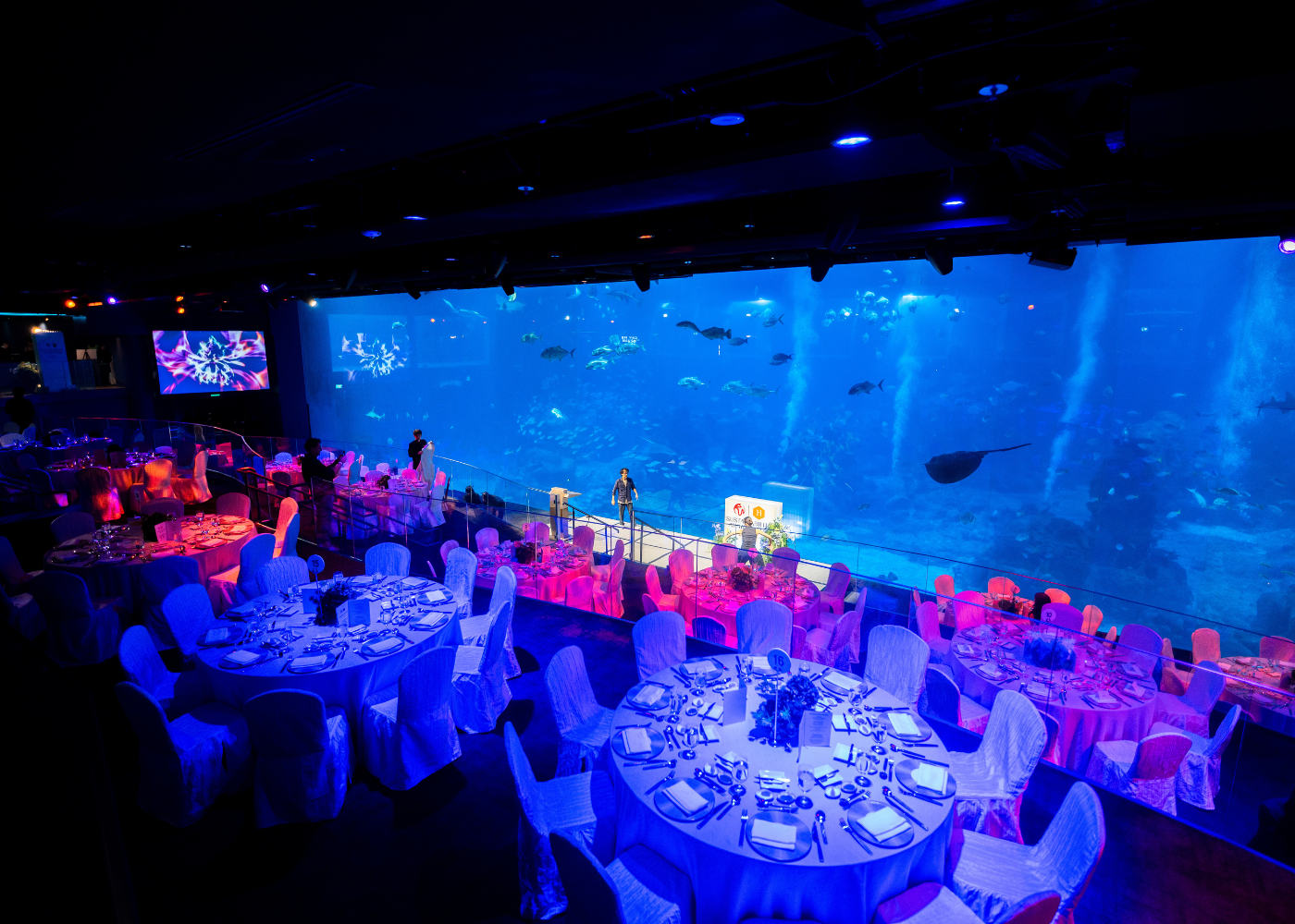 sustainability-awards-2026-honeycombers-rws-winners