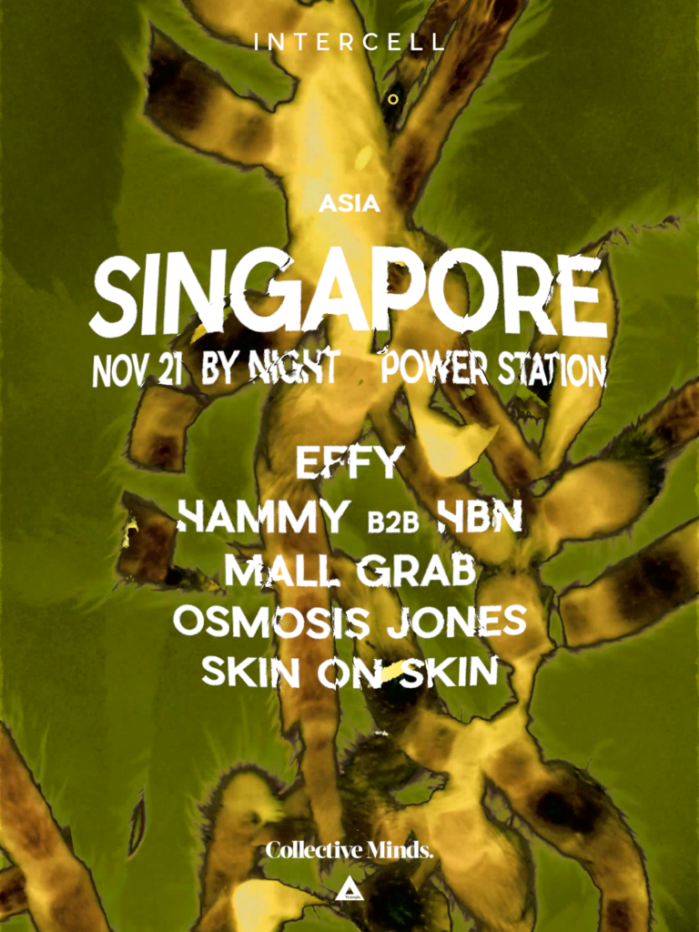 Intercell brings Amsterdam’s underground energy to Singapore this November | Honeycombers