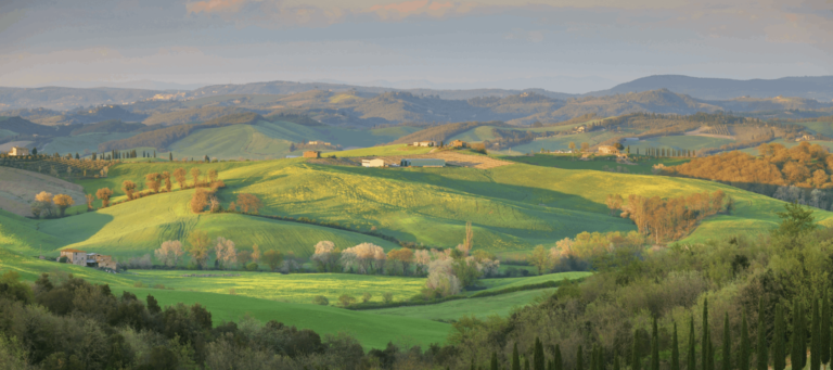 Tenuta di Arceno Wine Dinner at Forage