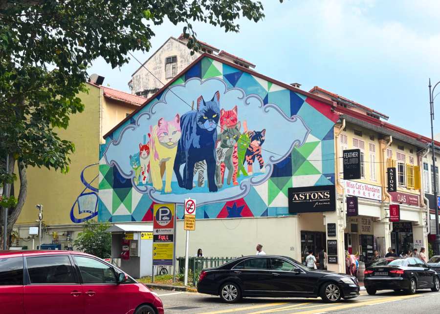 joo chiat world car free day singapore (2)
