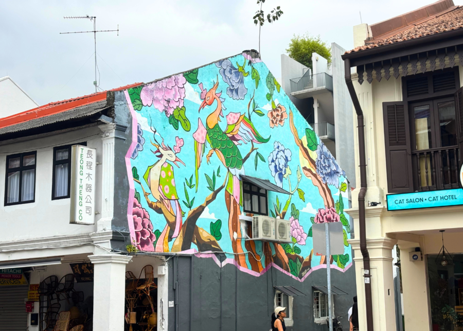 joo chiat world car free day singapore (3)