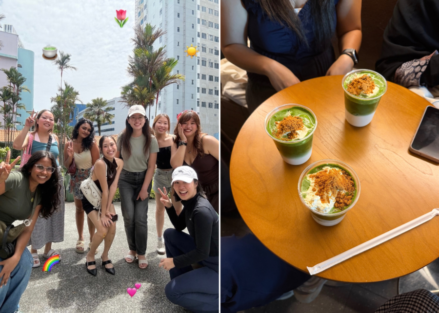 matcha city hop screaming pigeons - things to do in singapore this weekend