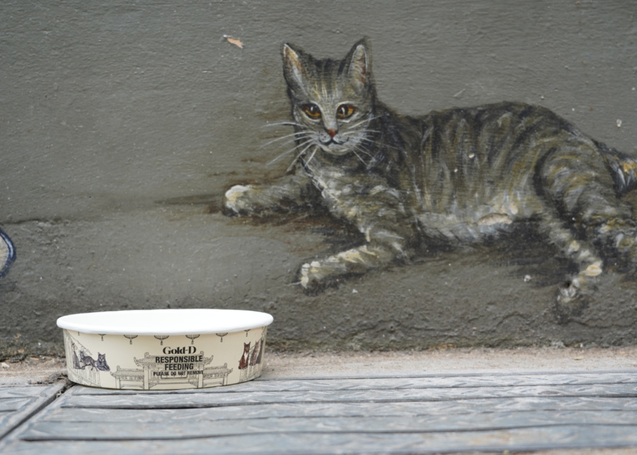 Animal Human Alliance Cats of Chinatown feeding bowl | What's happening in Singapore