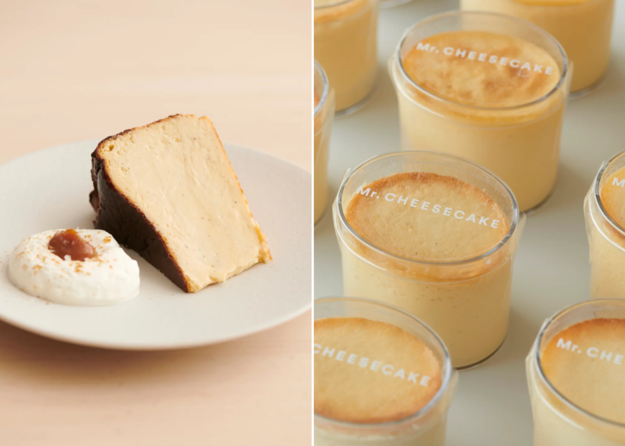 mr cheesecake tokyo ion orchard singapore (2)