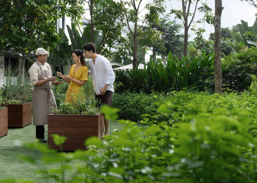 The Laurus' Chef's Herb Garden | Resorts World Sentosa