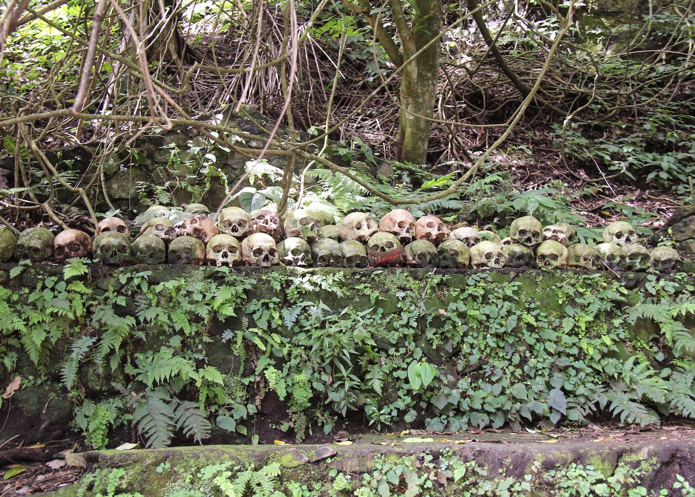 Skulls piled up in Trunyan Village in Bali Indonesia