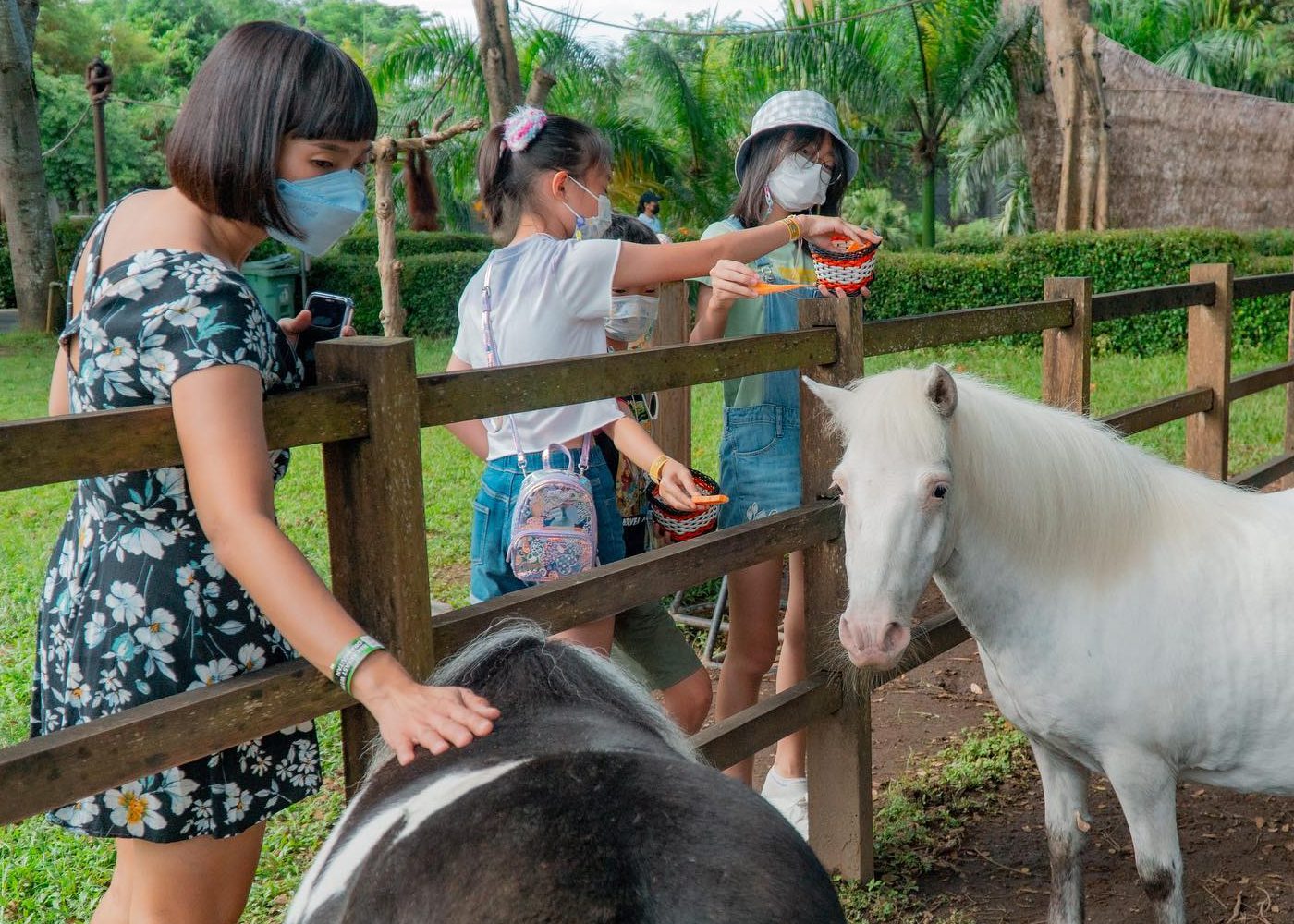 Bali Weather Guide The Best Months To Visit Honeycombers Bali