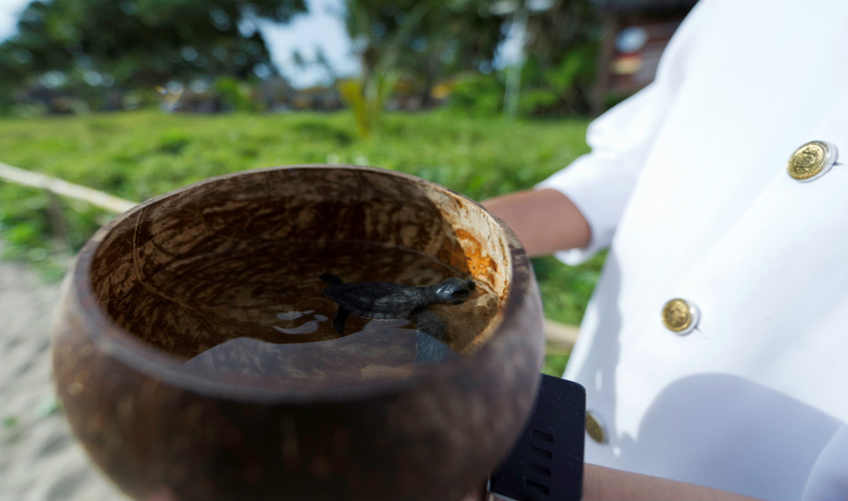 Things to do in Bali