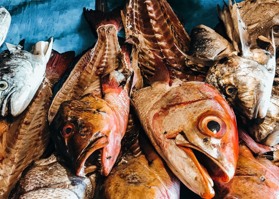 Fresh fish to stock up Jimbaran's kitchens