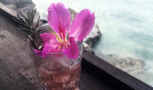 Sip on this! The Countess of Ross at The Howff on Nusa Lembongan is our Cocktail of the Week