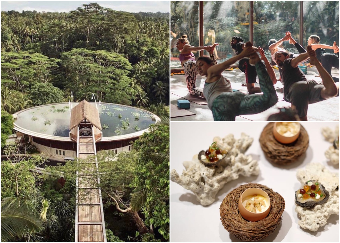 Neighbourhood Guide - where to stay, eat & do yoga in Ubud, Bali, Indonesia