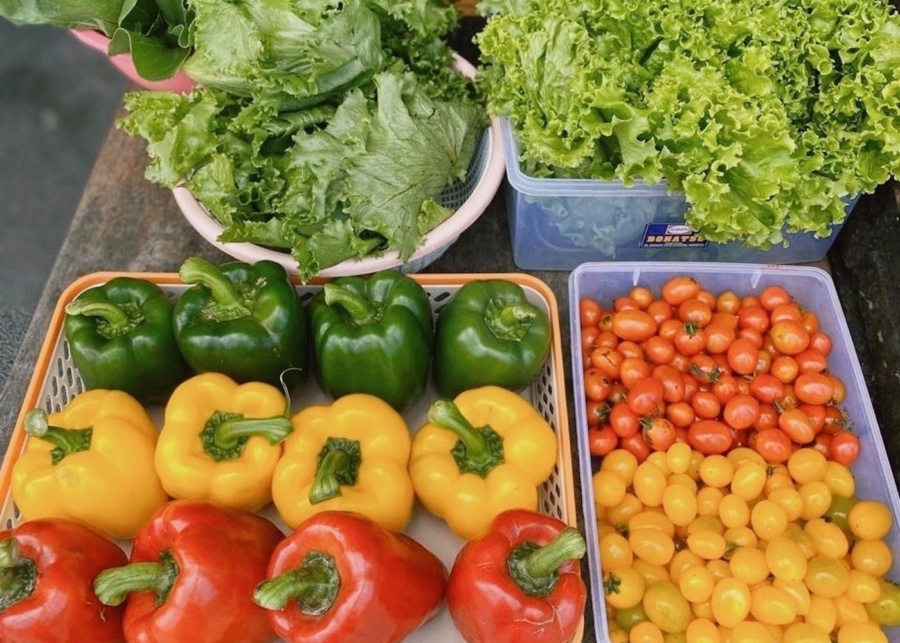 From Farm to Table