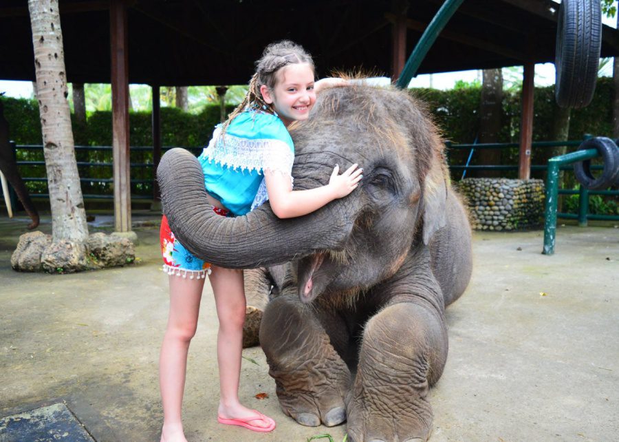 Mason elephant park & lodge - best family friendly hotel in Ubud