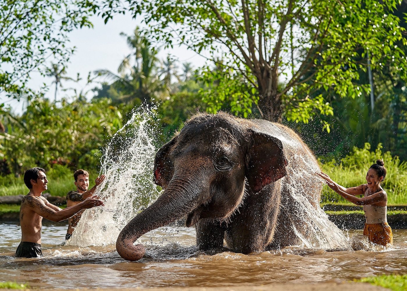 27 Incredible Things to Do in Bali, Indonesia – Never Ending Footsteps