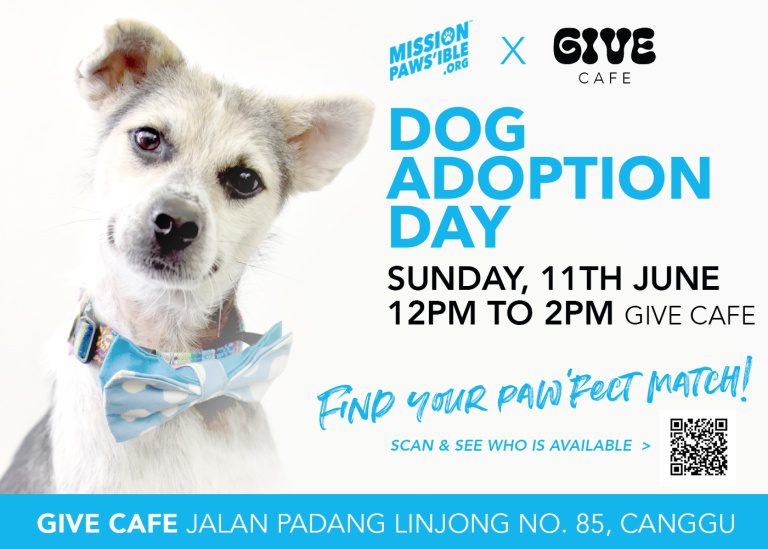 Mission Paws’ible’s Adoption Day @ Give Cafe