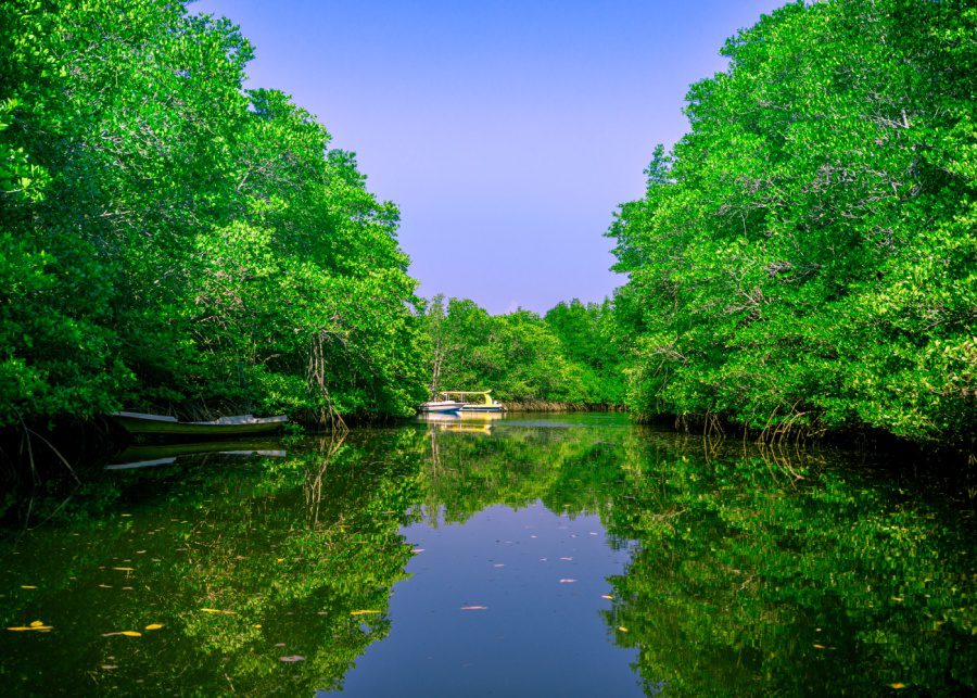 Mangrove Point at Nusa Lembongan - attractions in Bali