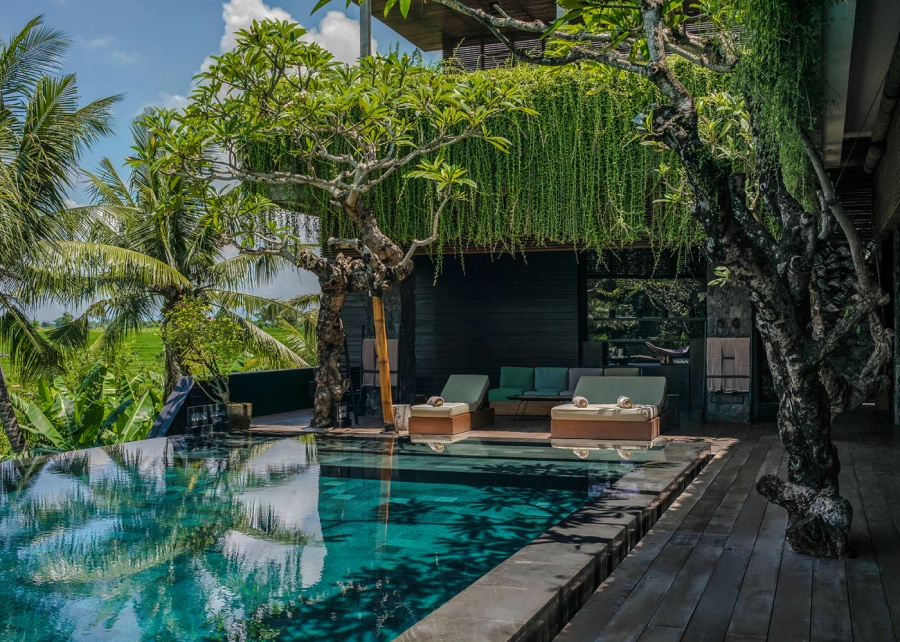 The infinity pool with trees, vines and wooden pool deck at Villa Mana in Canggu, Bali, Indonesia