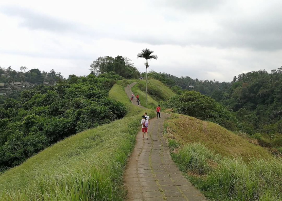 Campuhan Ridge Walk trail for beginners - with beautiful views in Ubud, Bali