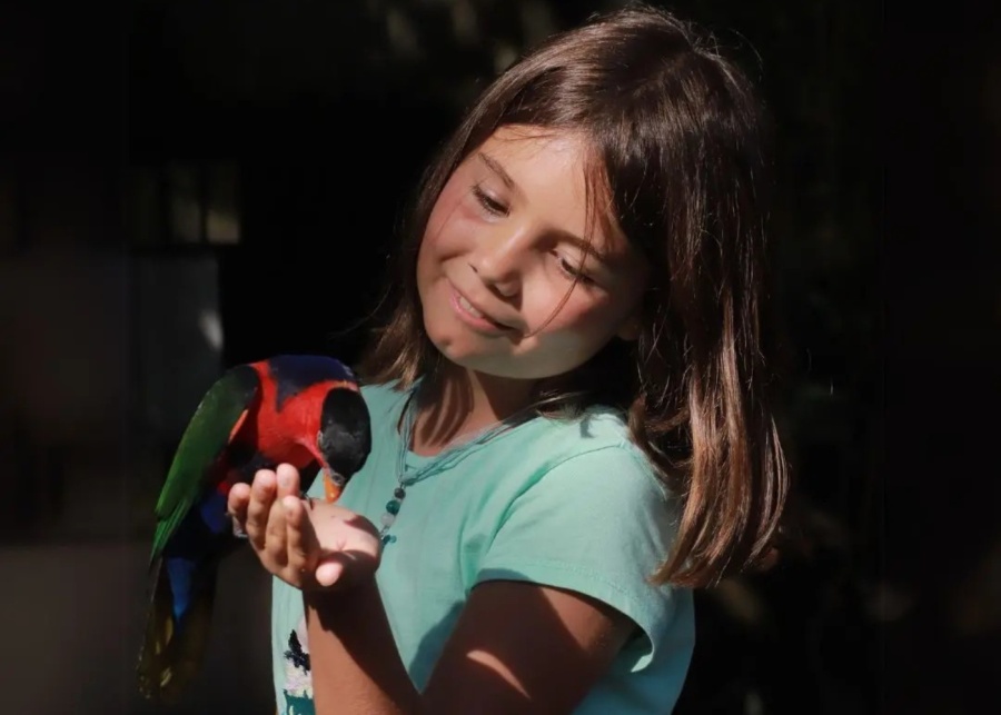 Bali Bird Park in Gianyar is one of the best places to take kids who love animals