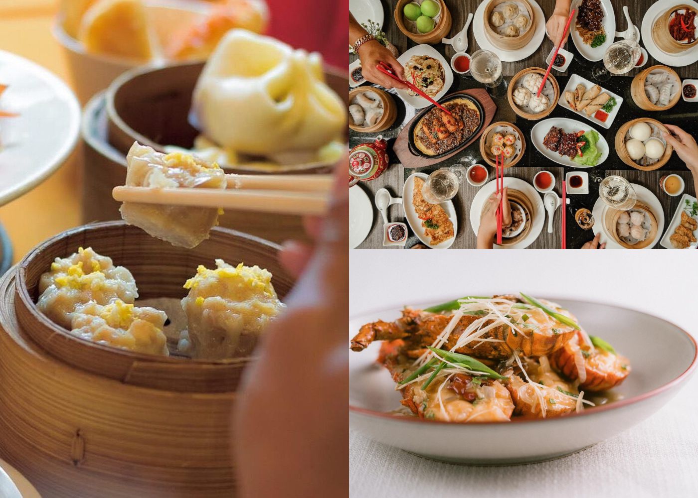 The best chinese restaurants in Bali for authentic food and modern dining