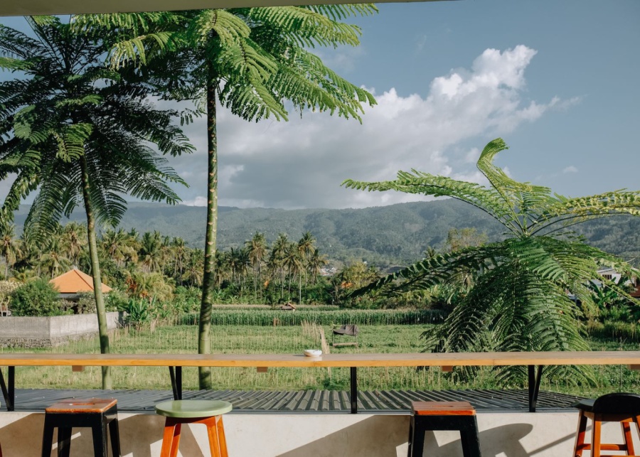 The rice fields and mountain views from Coffeenosky cafe in Lovina, North Bali