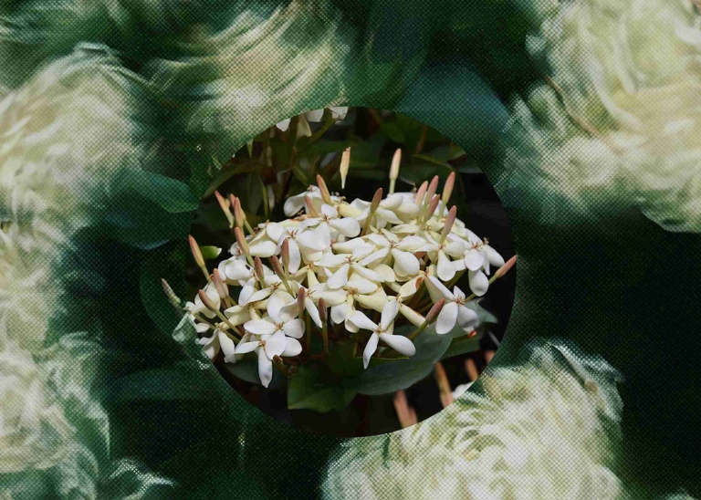 Purnama: Mindfulness of Sound with Fa’ Pawaka, By Felix & Bagvs