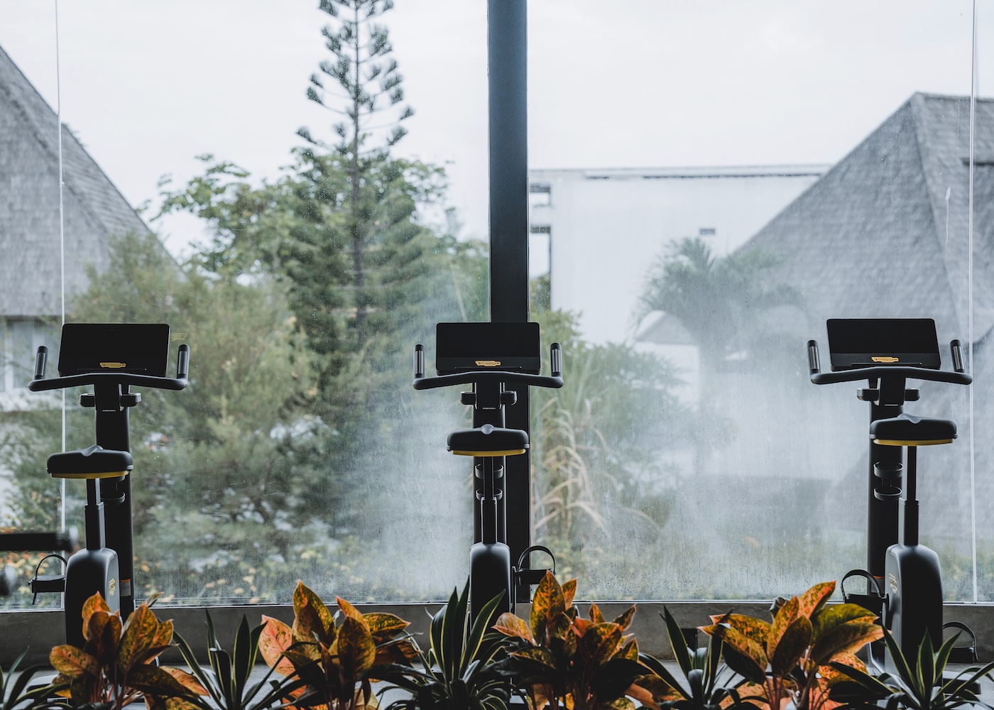 The Wrong Gym in Pererenan, Canggu, Bali