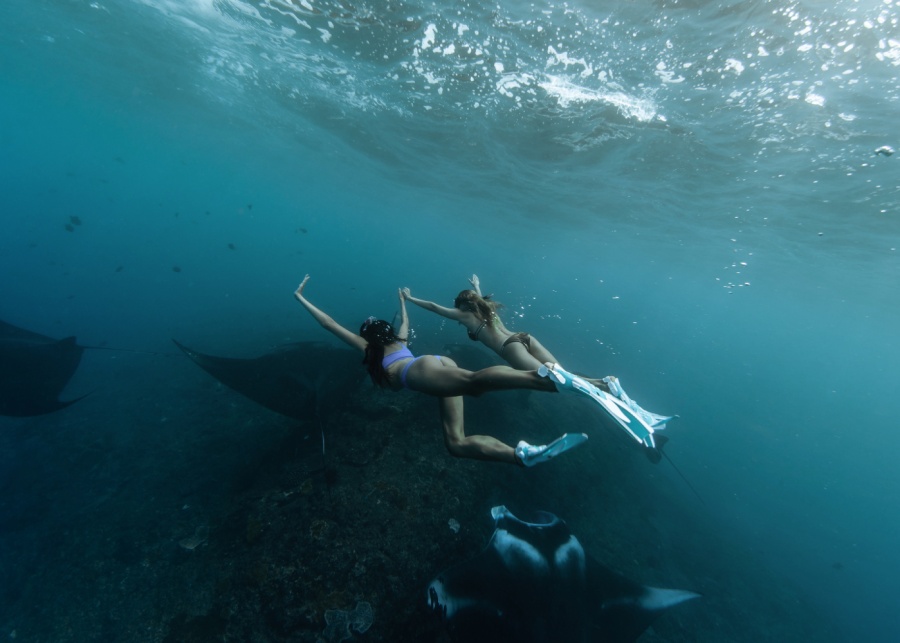 Snorkelling with Manta Rays as part of the premium shared boat trip with Bluuu to Nusa Penida from Bali, Indonesia