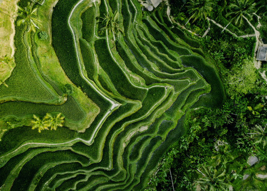 Bali’s New Building Ban: Here’s What You Need to Know