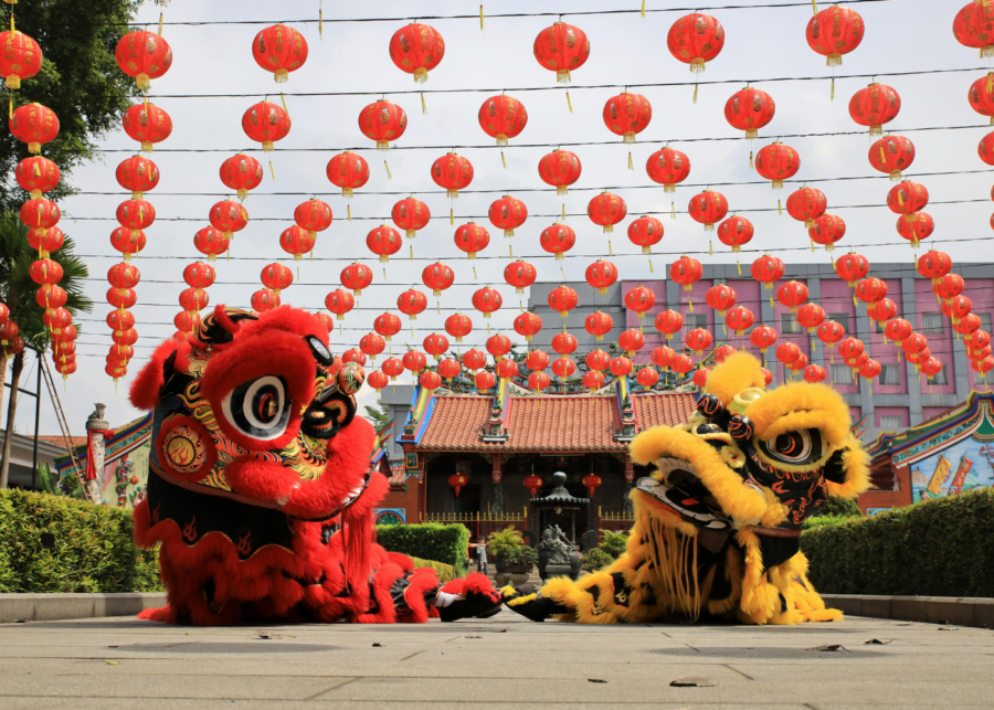 Lion Dance CNY