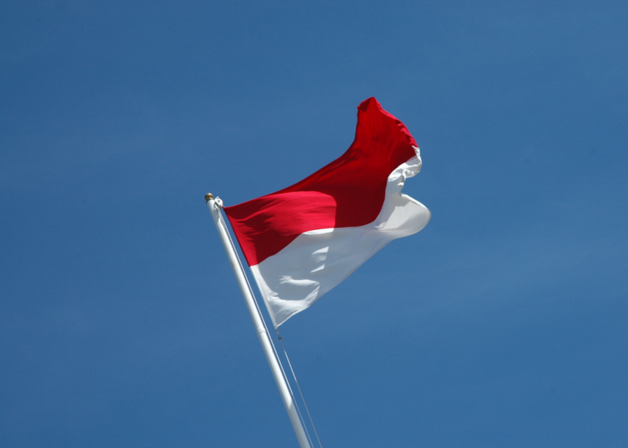 a picture of Indonesian Flag