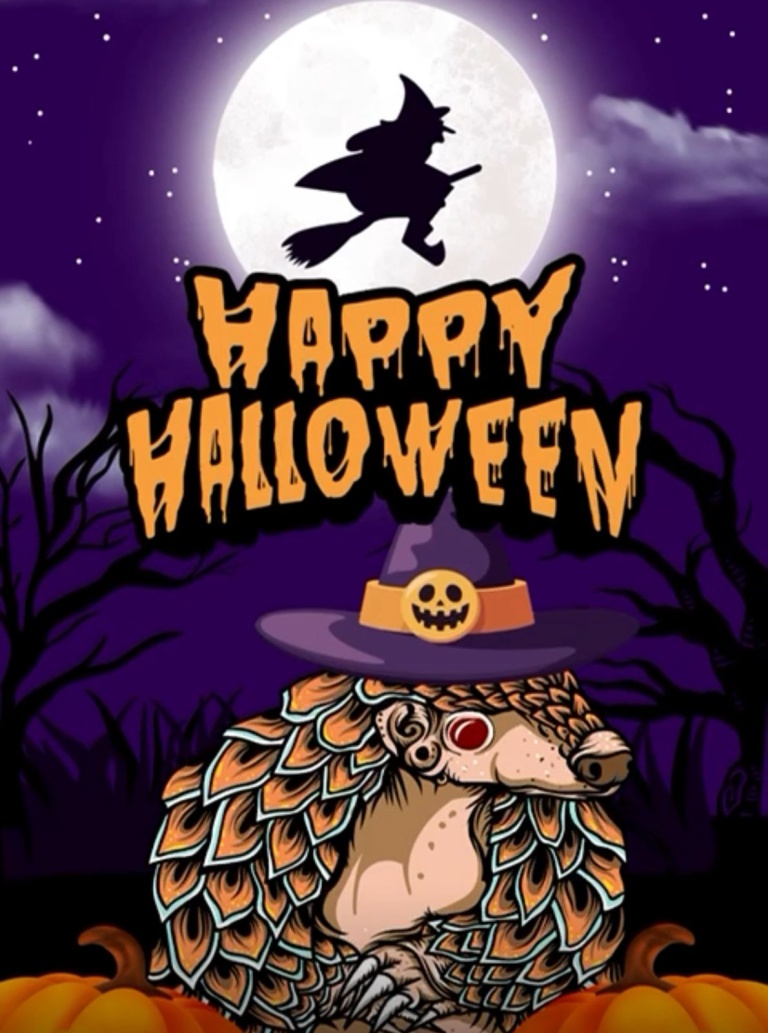 Halloween at Pangolin Kids Club