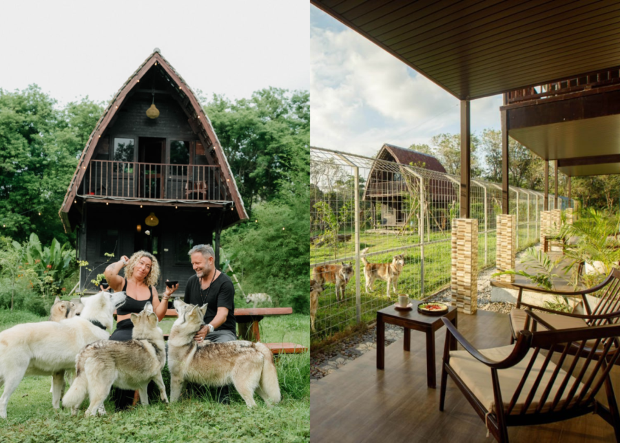 Villa and outdoor seating area at Alpha Wolf Lodge in Nuanu, with the wolf pack in a secure enclosure nearby.