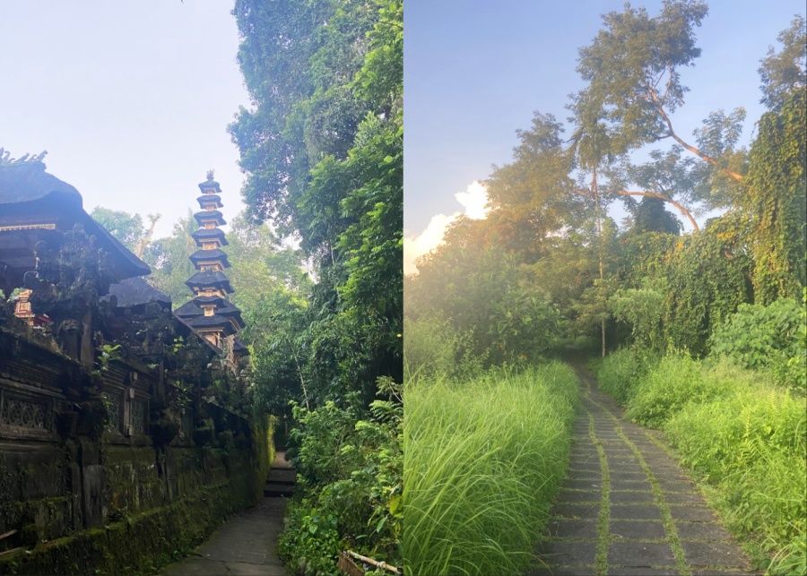 Shrine at the entrance and morning atmosphere at Campuhan Ridge Walk in Ubud, Bali - a must-visit outdoor attraction