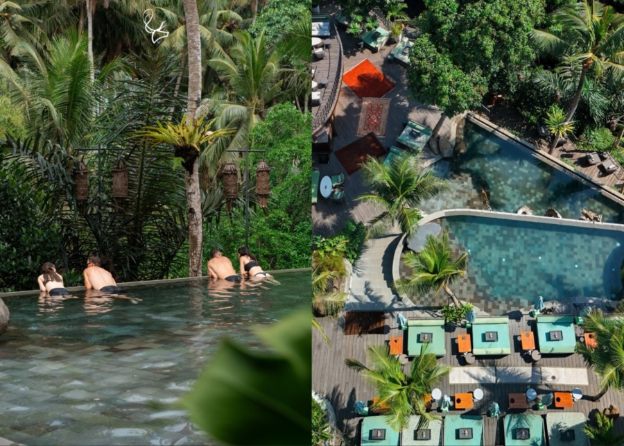 Views at The Jungle Club Ubud - a boutique day club in Ubud, Bali, Indonesia