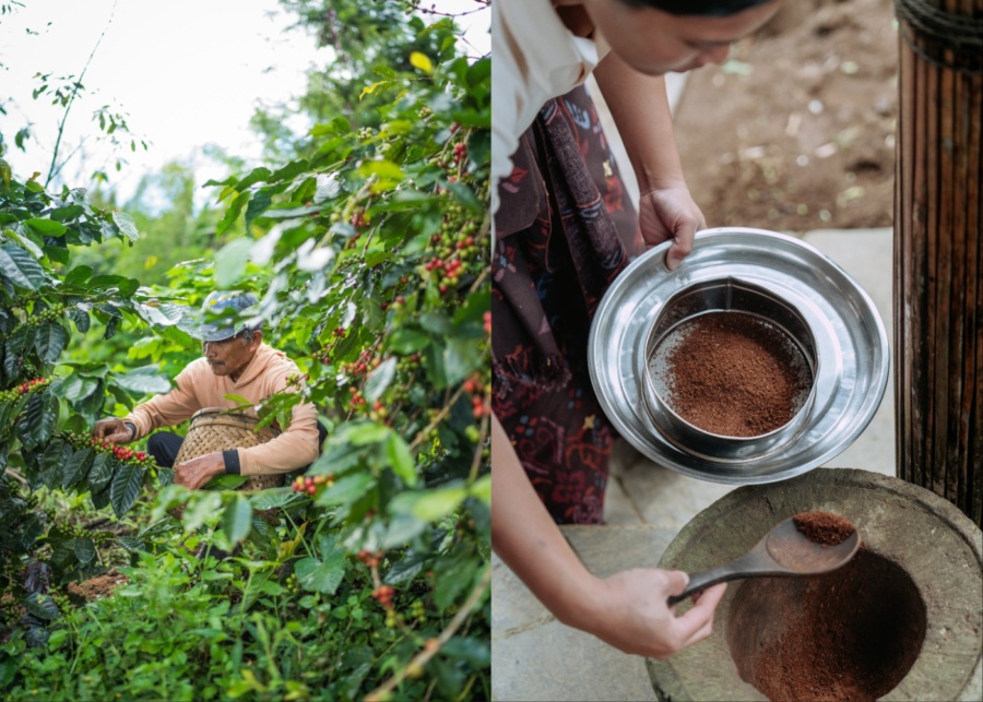 Coffee Plantation Experience at Munduk Moding Plantation 