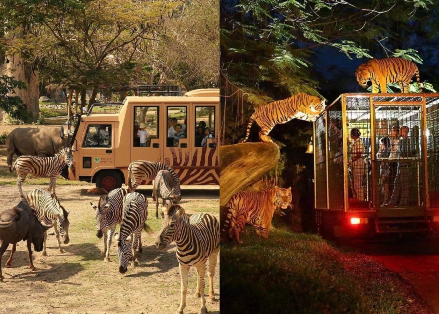 Day and night safari at Bali Safari and Marine Park near Ubud