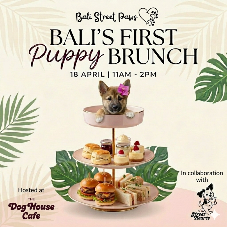 Puppy Brunch