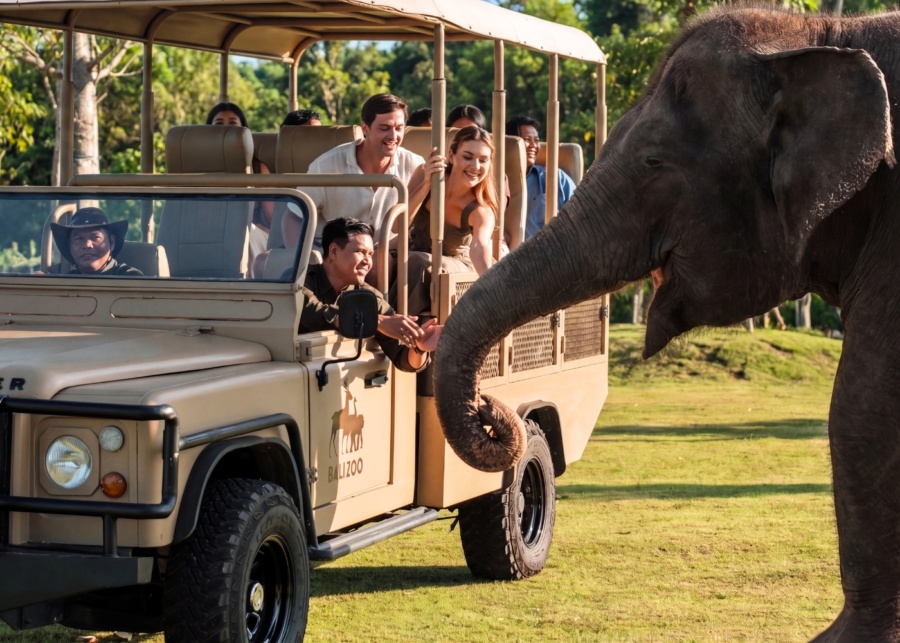 Bali Zoo Review 2026: The new Elephant Explorer experience sets the standard for responsible wildlife encounters.